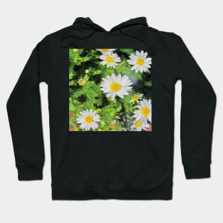 stocksom art prints Daisy 2. Hoodie